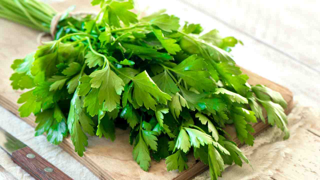 Come conservare il prezzemolo fresco