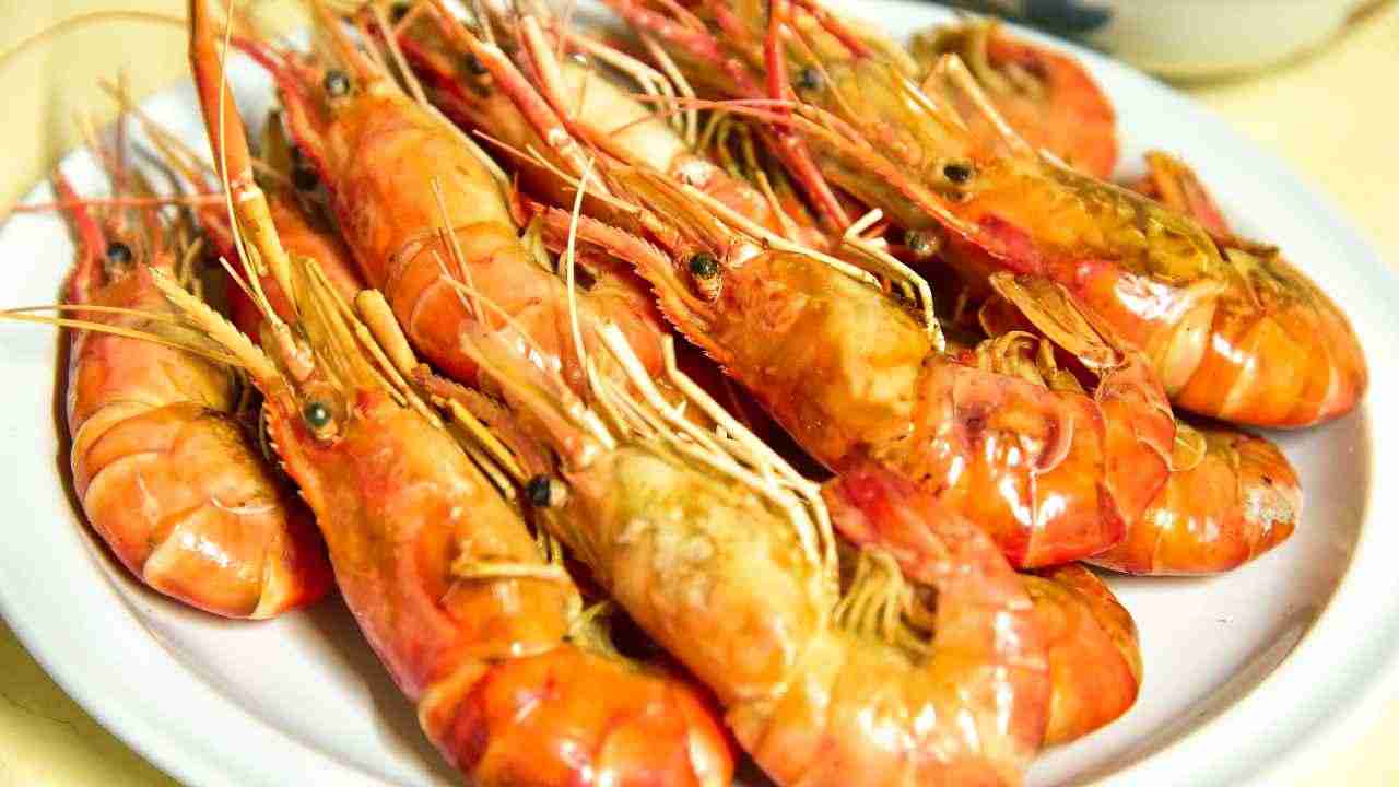 Gamberetti radioattivi shock in tutto il mondo - Blog.RicettaSprint