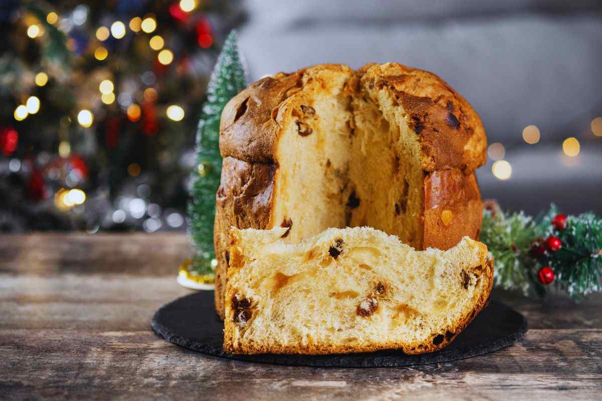panettone